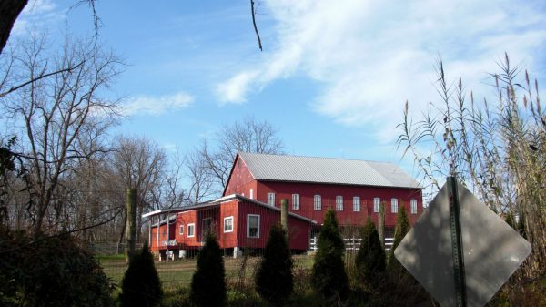 Obscenic Arts Studio and Barn outside grounds